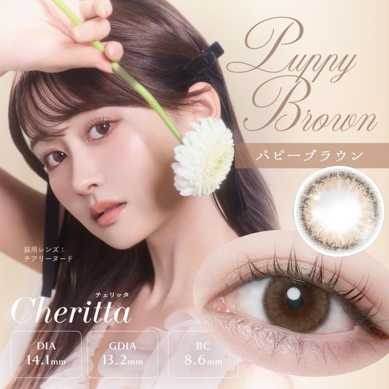 偷心泡泡糖 Puppy Brown
